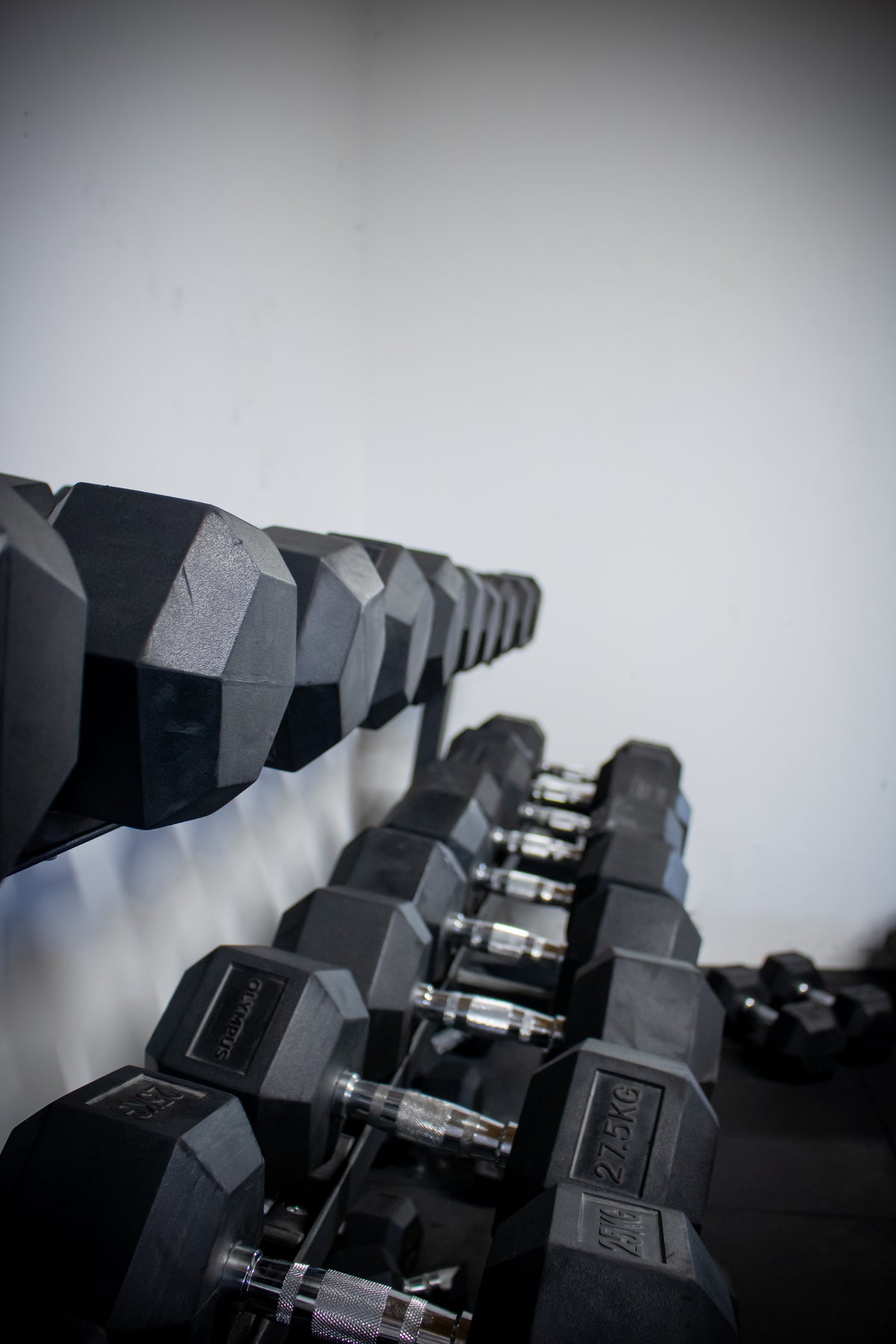 Equipment at Strength Metrics Gym